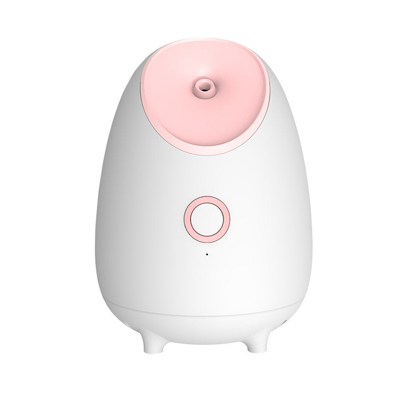 Face steamer
