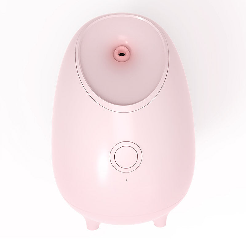 Face steamer