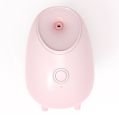Face steamer
