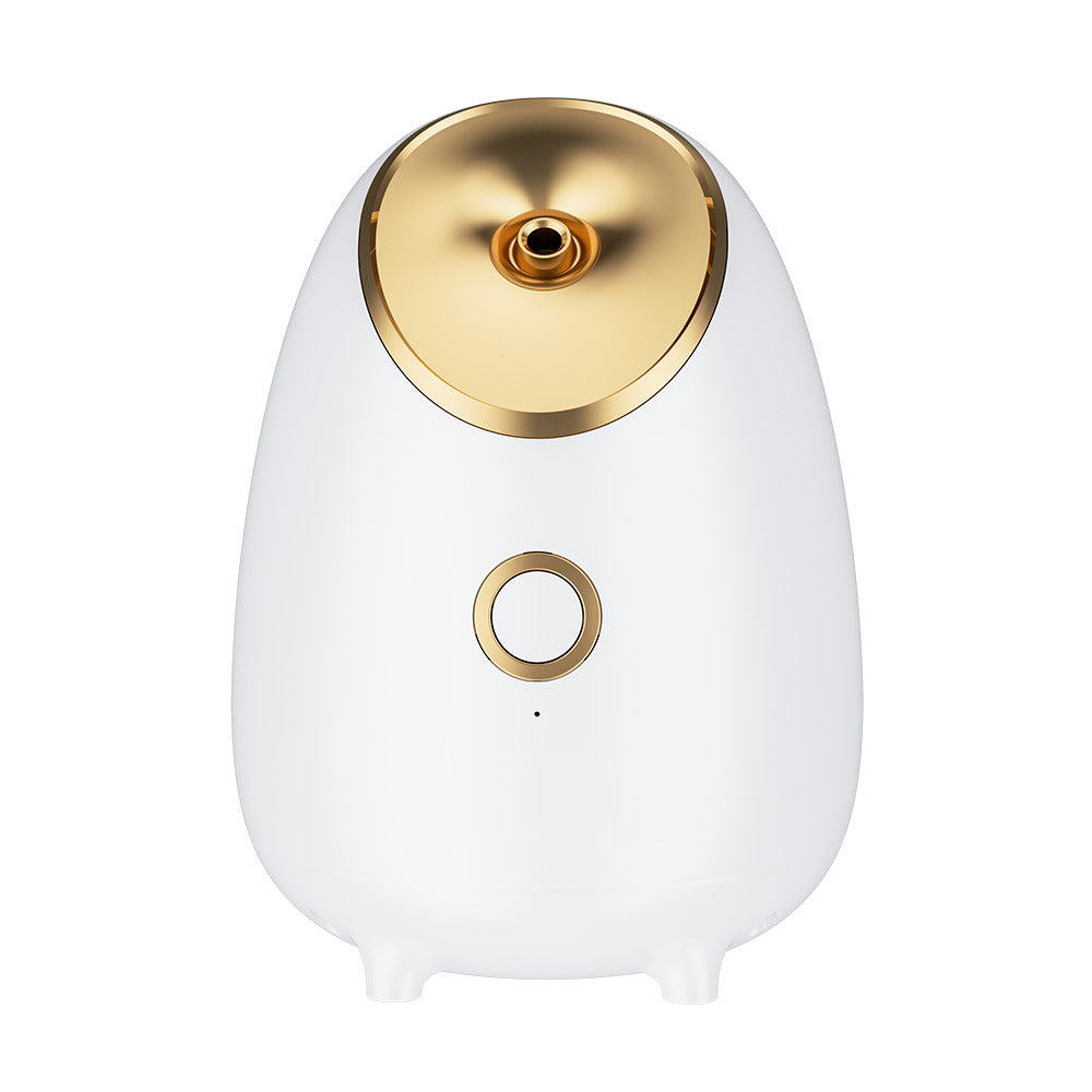 Face steamer