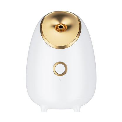 Face steamer