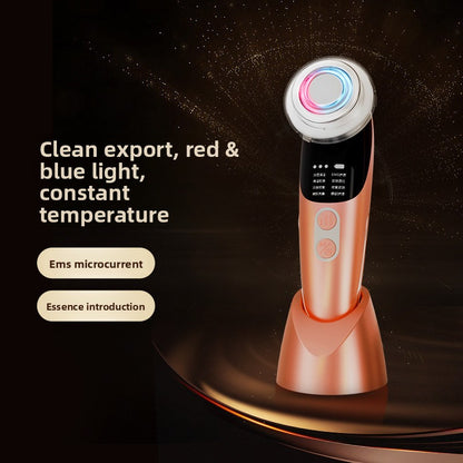 Facial Beauty Device