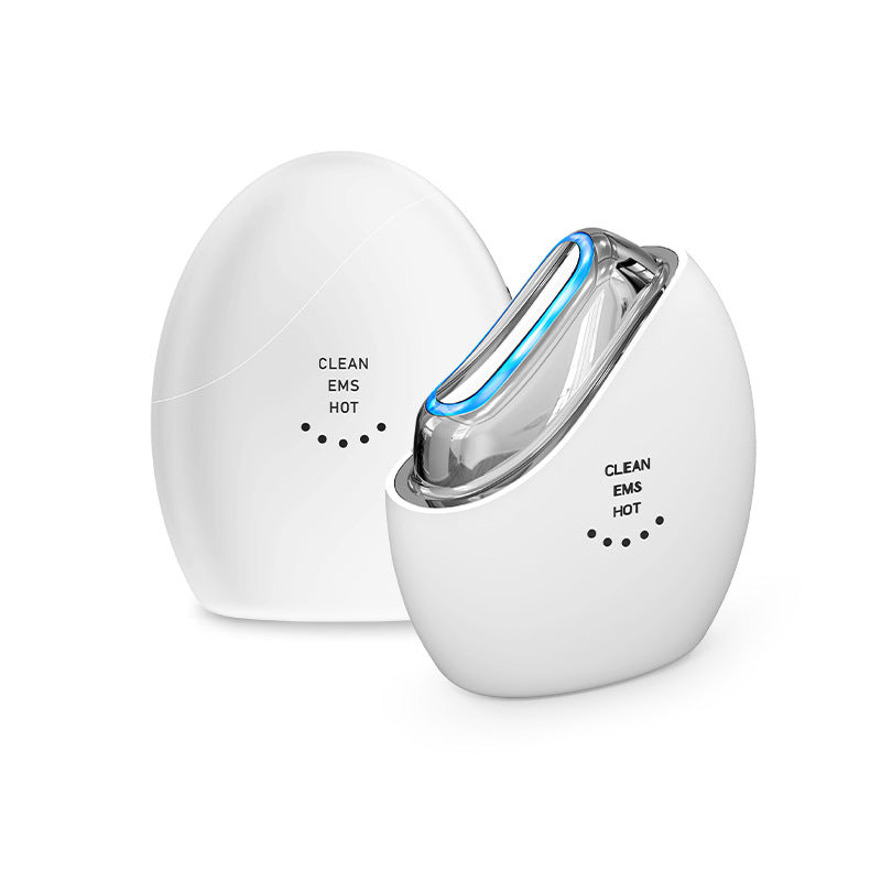 Facial Beauty Device