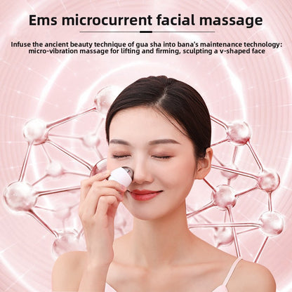 Facial massage device