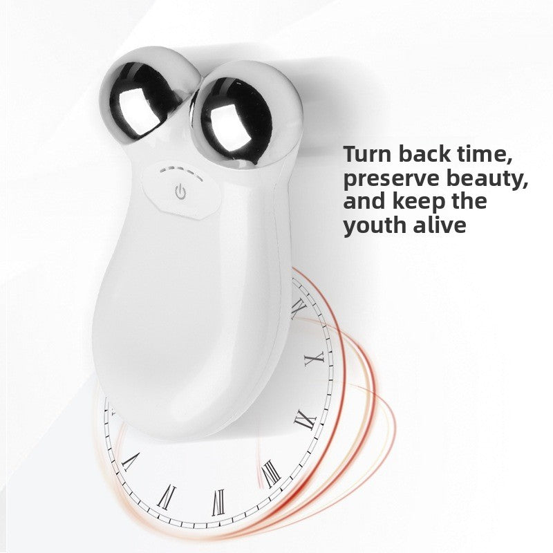 Facial Massage Instrument