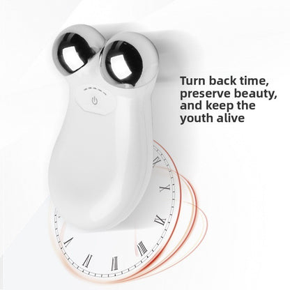 Facial Massage Instrument