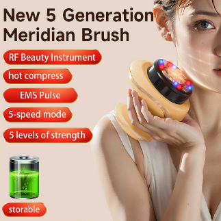 Facial Massager with Heating and Vibration