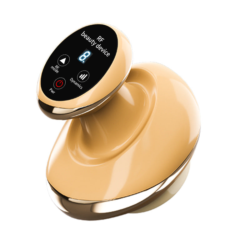 Facial Massager with Heating and Vibration