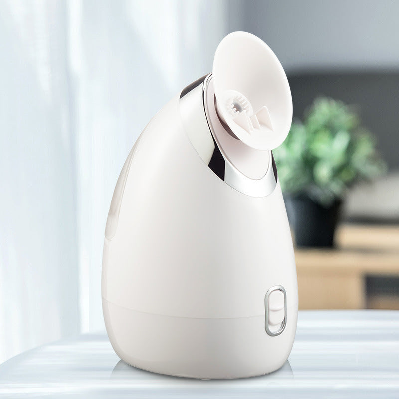 Facial steamer