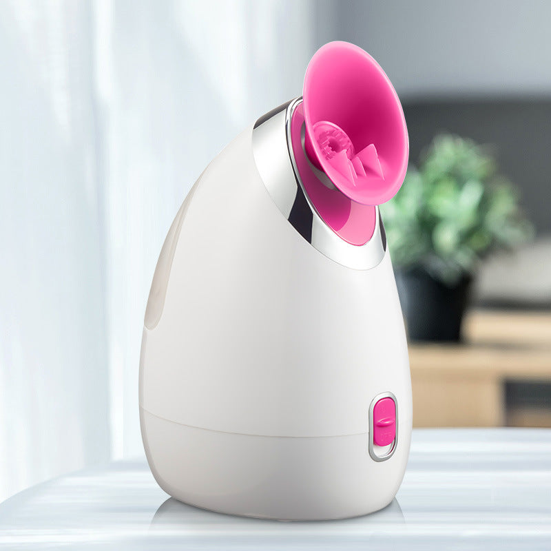 Facial steamer
