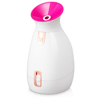 Facial steamer