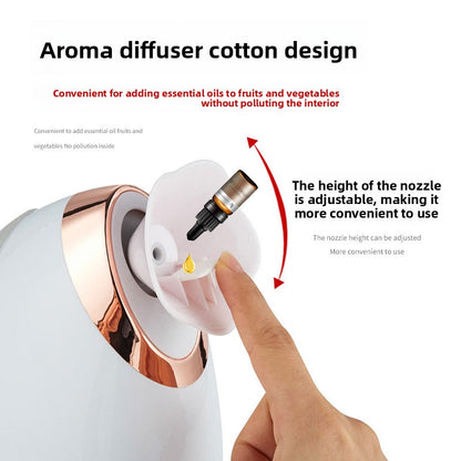 Facial steamer