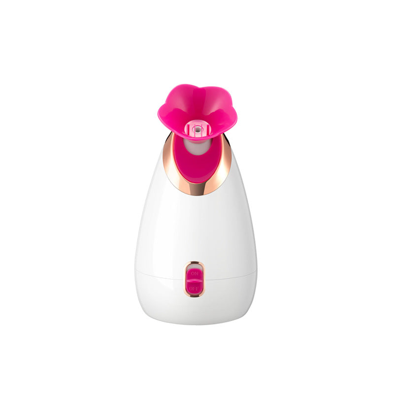 Facial steamer