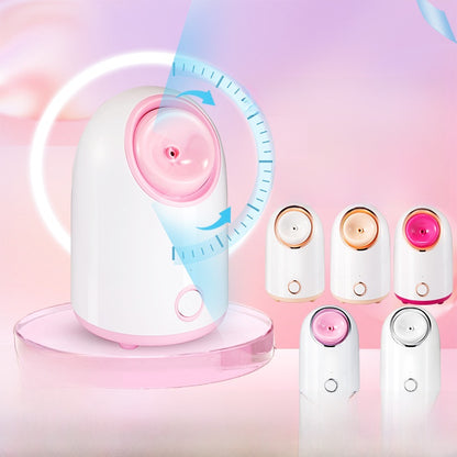 Facial steamer