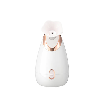 Facial steamer