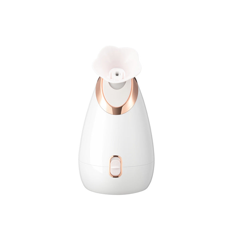 Facial steamer