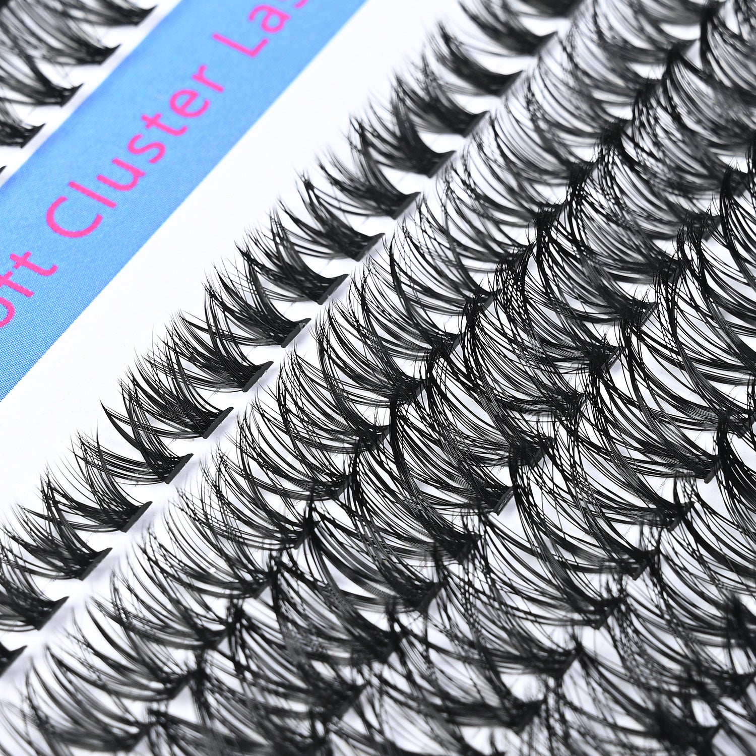 False Eyelashes Kit