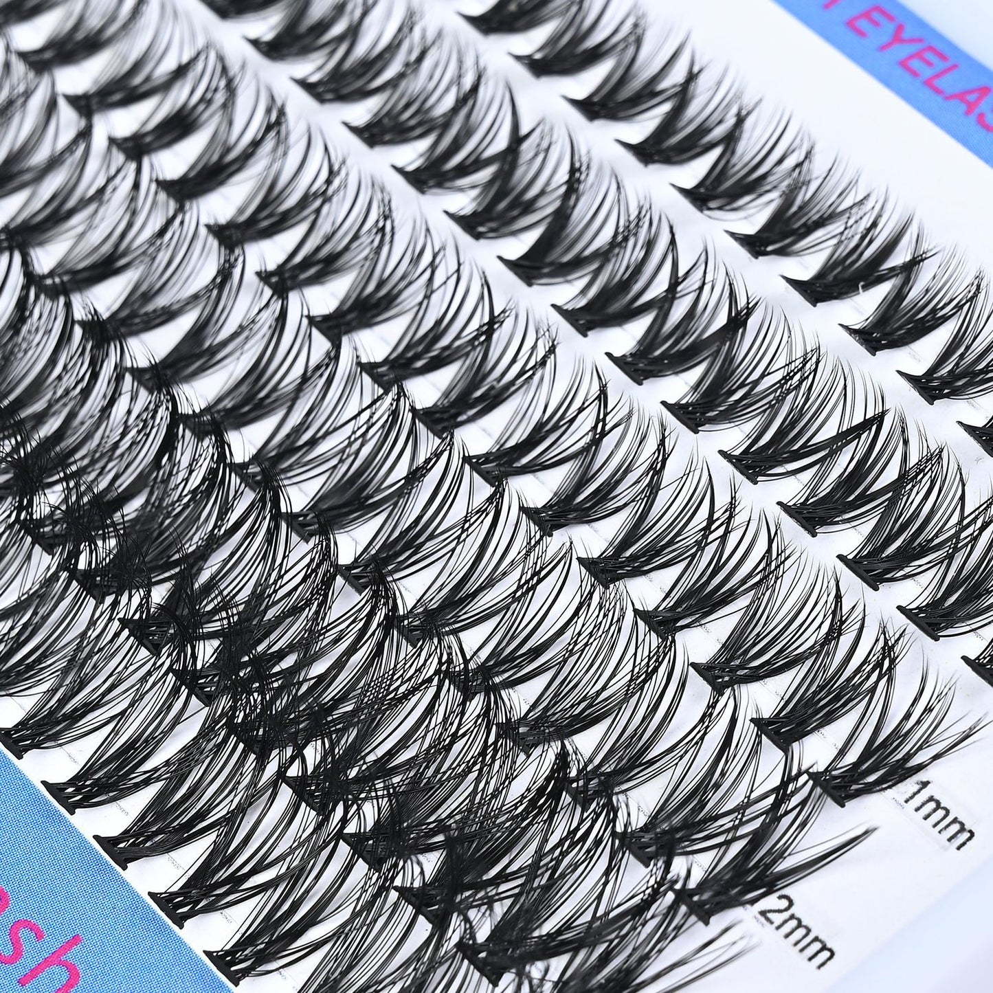 False Eyelashes Kit