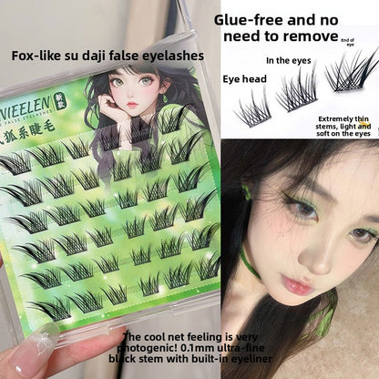 false eyelashes