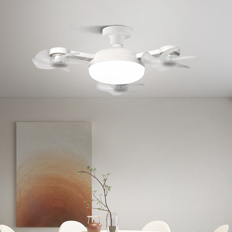 Fan Light