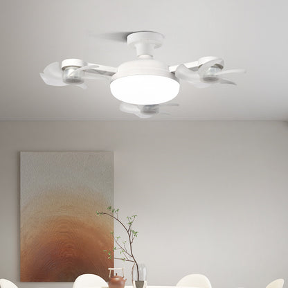 Fan Light