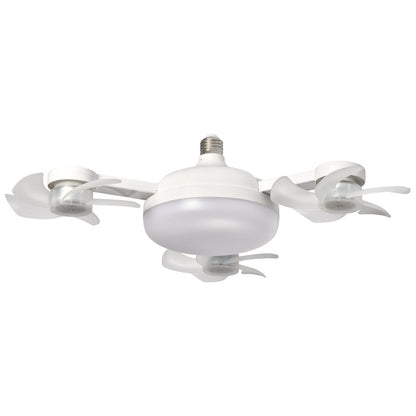 Fan Light