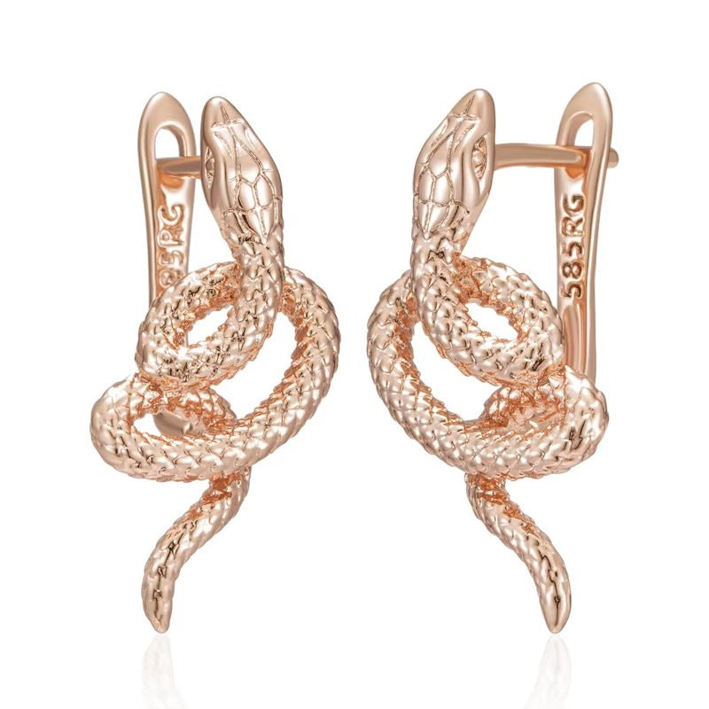 fashion earrings