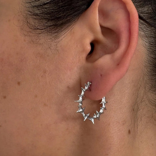 Fashion Earrings
