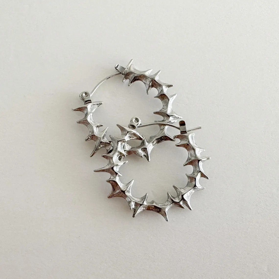 Fashion Earrings