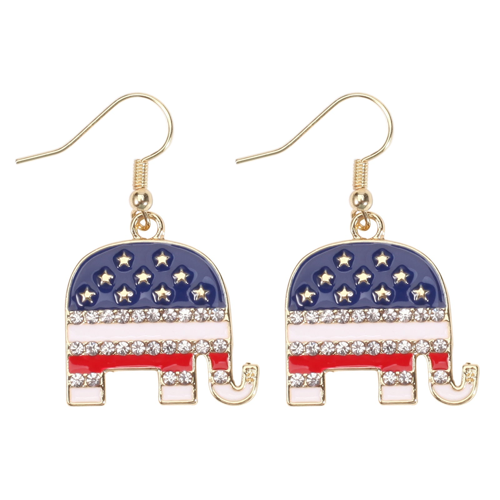 Fashion Earrings