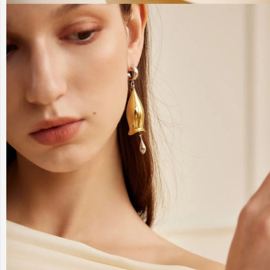 Fashion Earrings