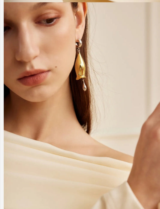 Fashion Earrings