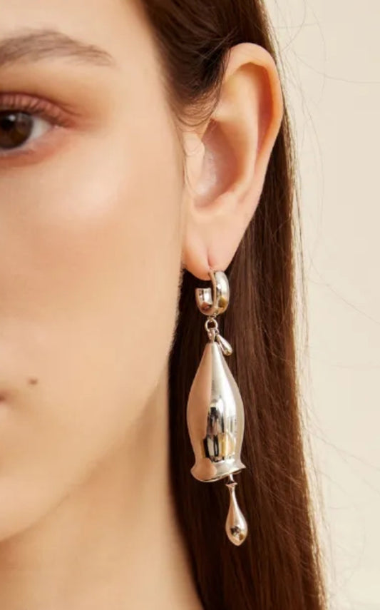 Fashion Earrings