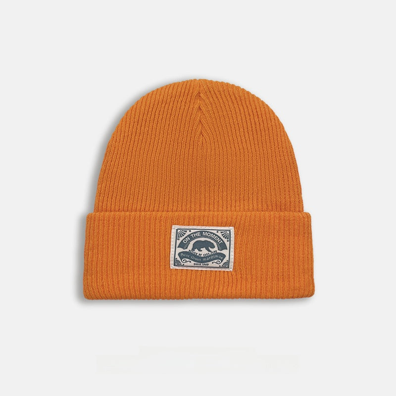 Fashion Knitted Winter Hat