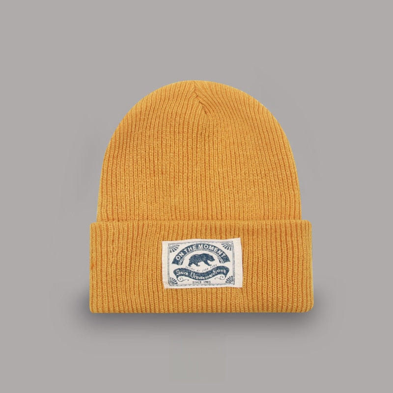 Fashion Knitted Winter Hat