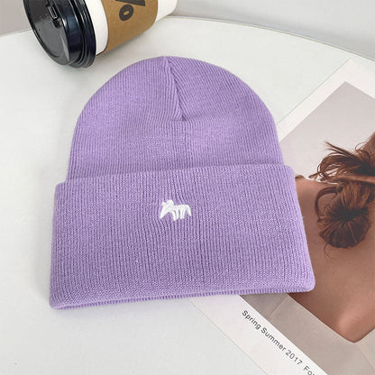 Fashion Knitted Winter Hat