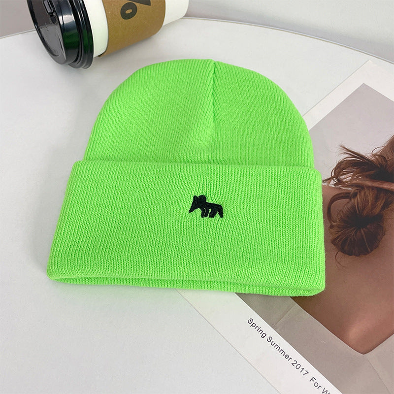 Fashion Knitted Winter Hat