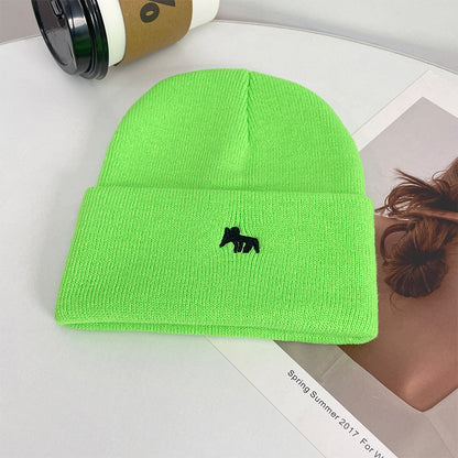Fashion Knitted Winter Hat