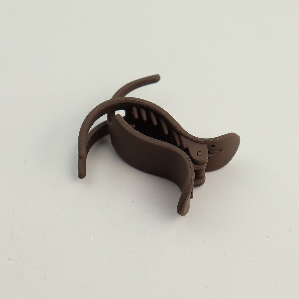 Fashionable ponytail clips