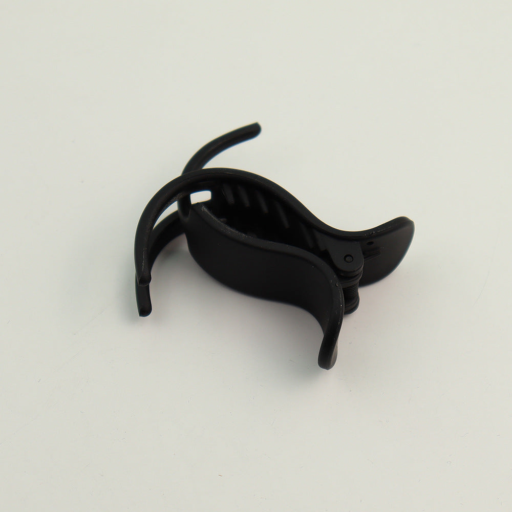 Fashionable ponytail clips
