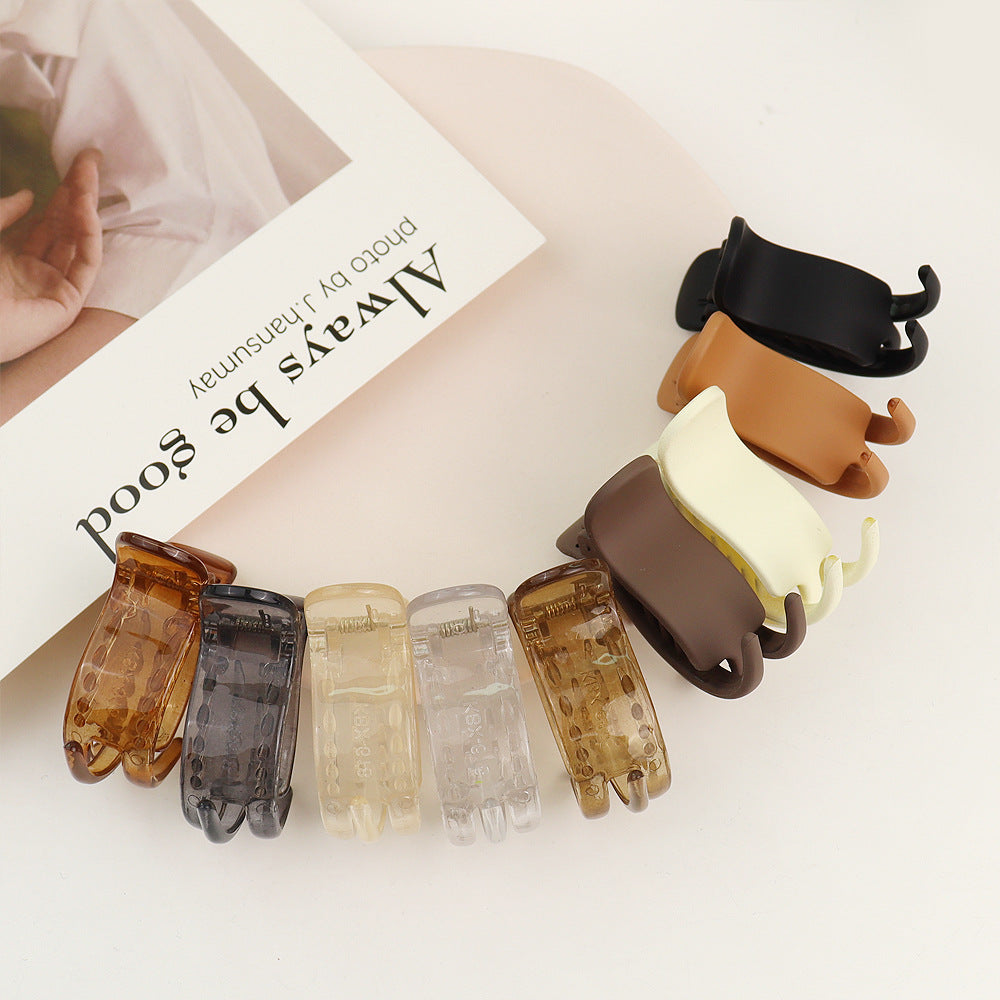 Fashionable ponytail clips