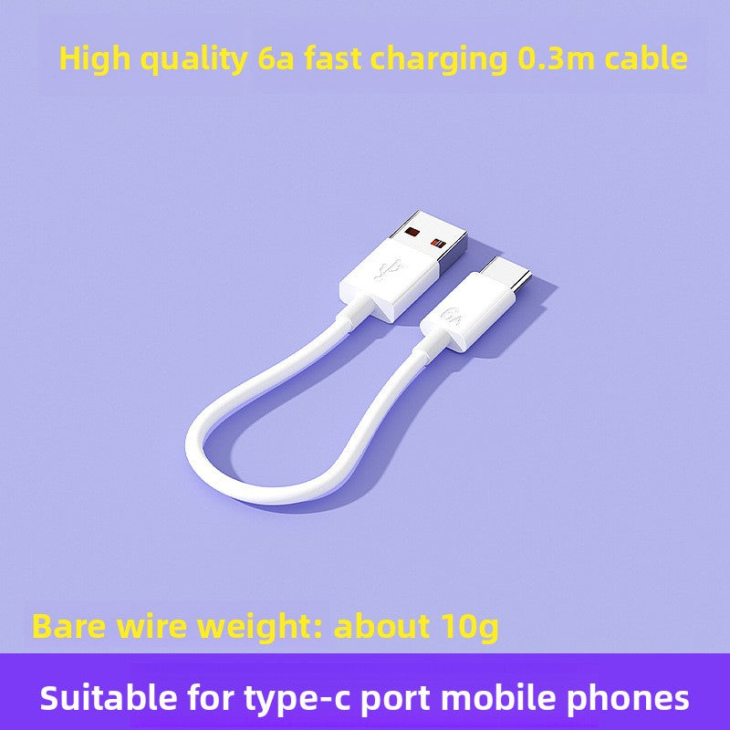fast charger