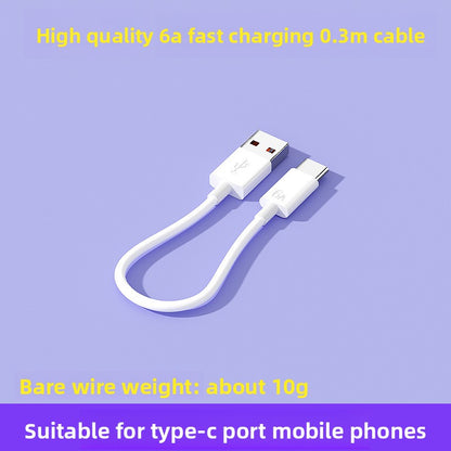 fast charger