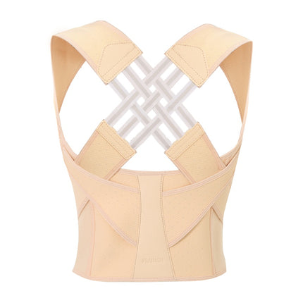 Essential Haven Back Support Belt-Fix Posture & Relieve Pain