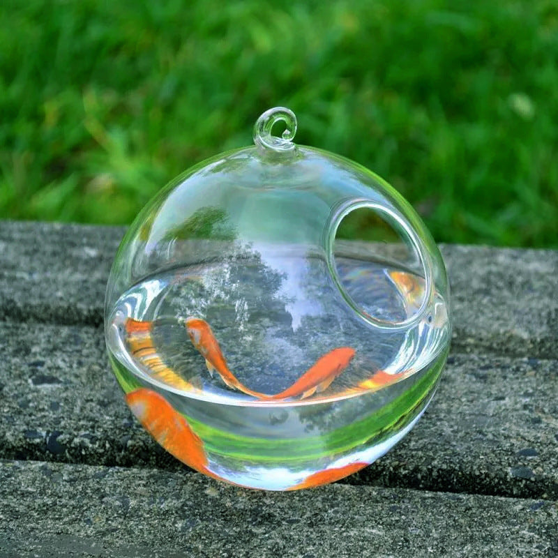 Buy Decorative Hanging Glass Fish Tank for Home & Office Decor