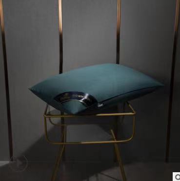 Feather velvet pillow
