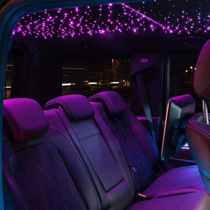Fiber Optic Lights