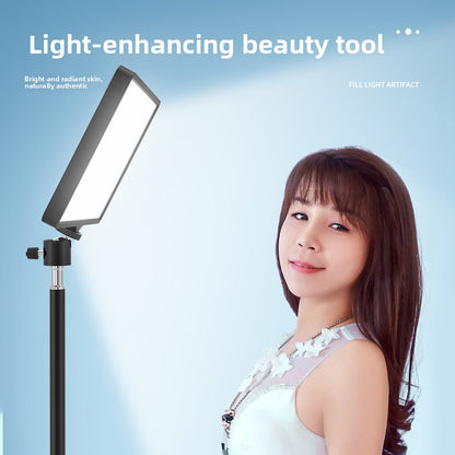 fill light