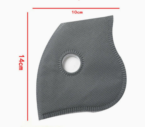 Filtered Protective Mask with Removable Lens