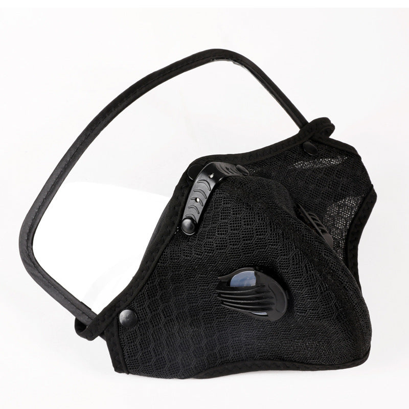 Filtered Protective Mask with Removable Lens